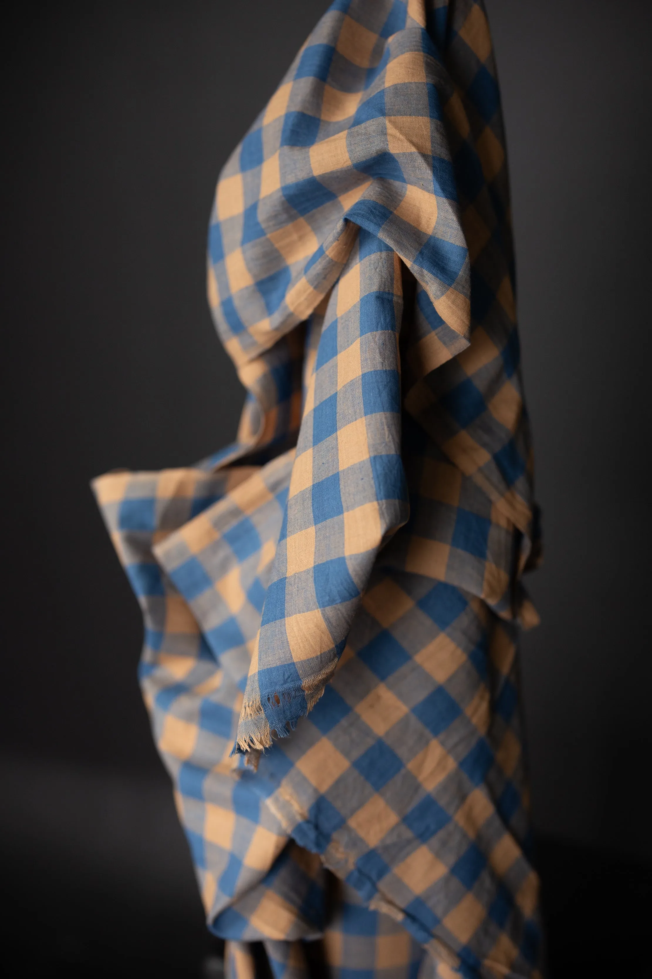 Indian Cotton - Dreamland Blue and Peach Gingham