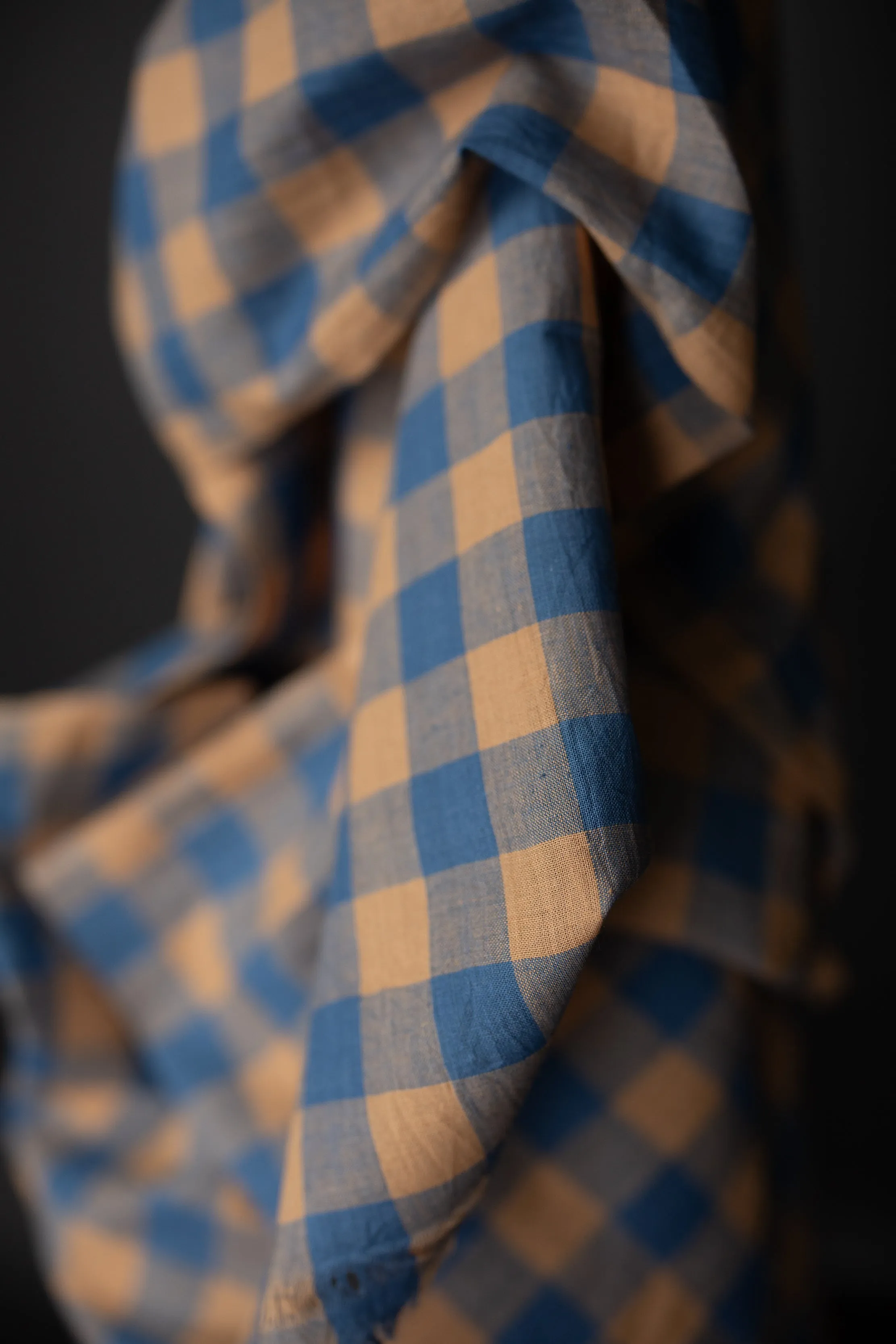 Indian Cotton - Dreamland Blue and Peach Gingham