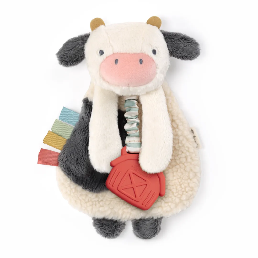 Itzy Lovey Plush and Teether Toy