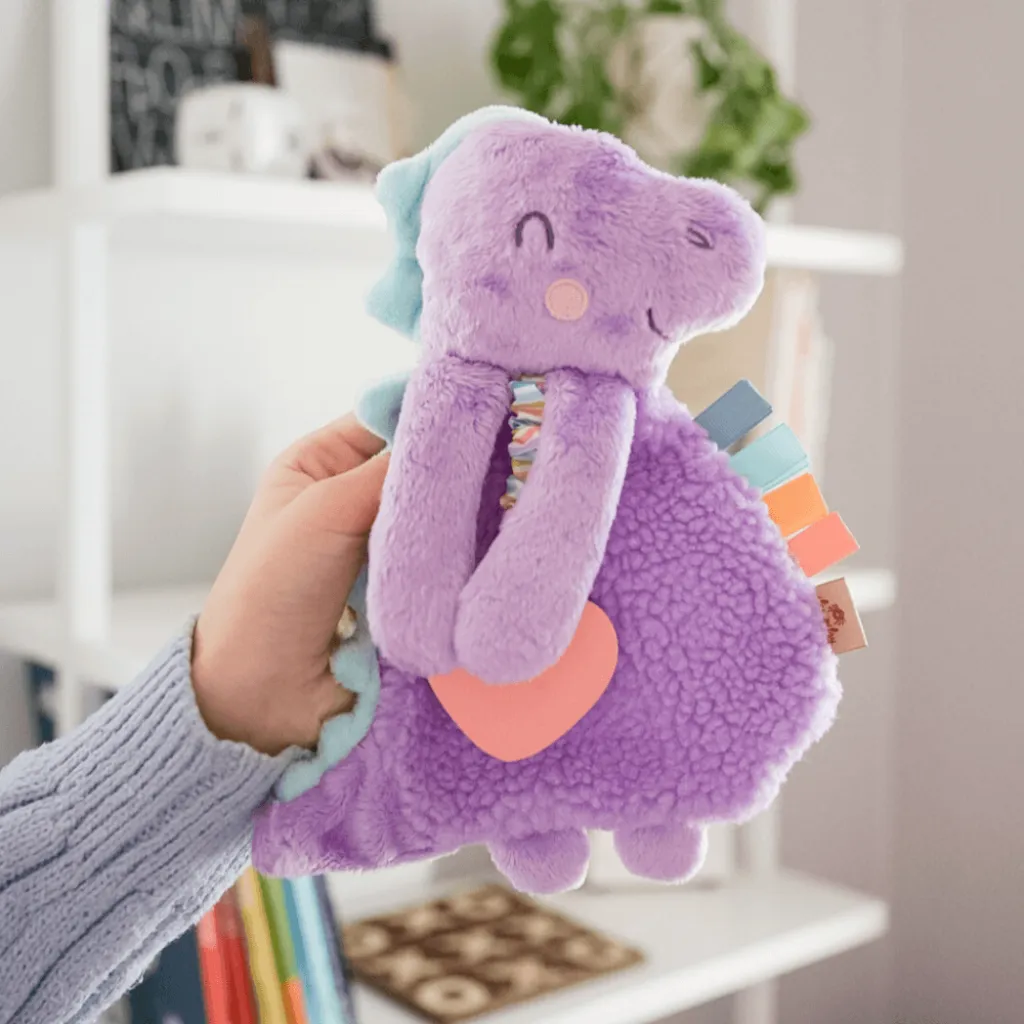 Itzy Lovey Plush and Teether Toy